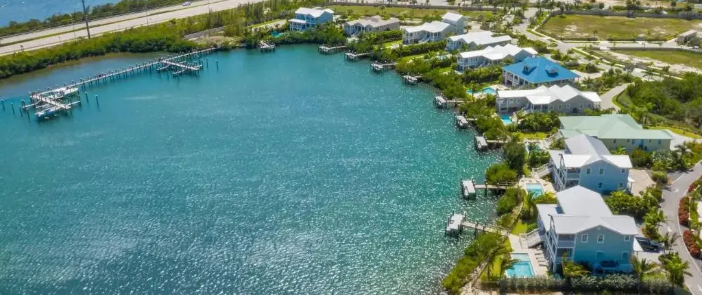 Sophisticated Sunsets