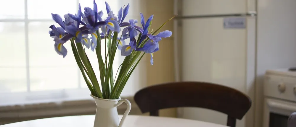 Freshwater Creek Cottages and Farm Stay