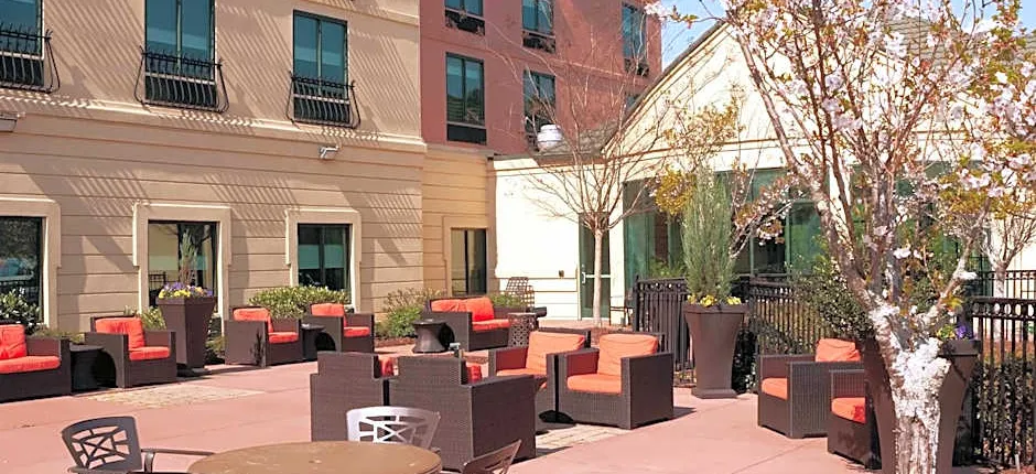 Hilton Garden Inn Atlanta Airport/Millenium Center