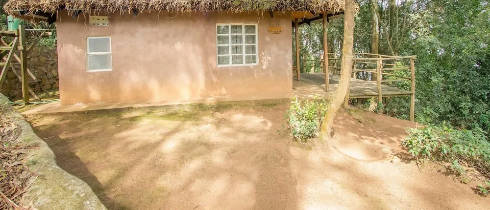 Bushara Island Camp