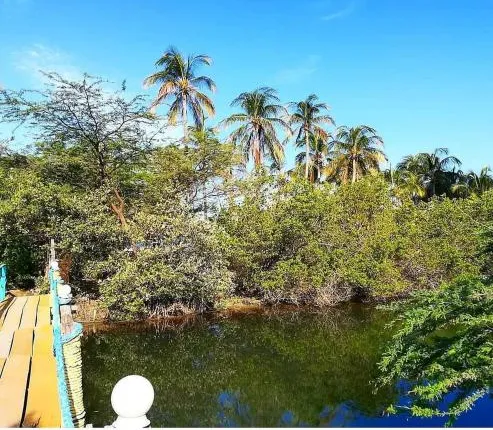 Playa del Ritmo, Beach Hostel & Bar