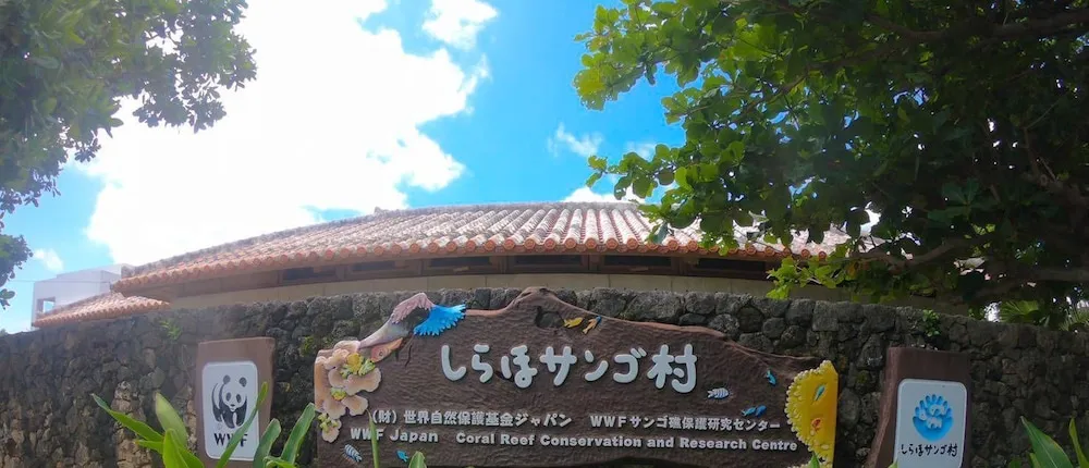 guest house Holoholo beach side - Hostel