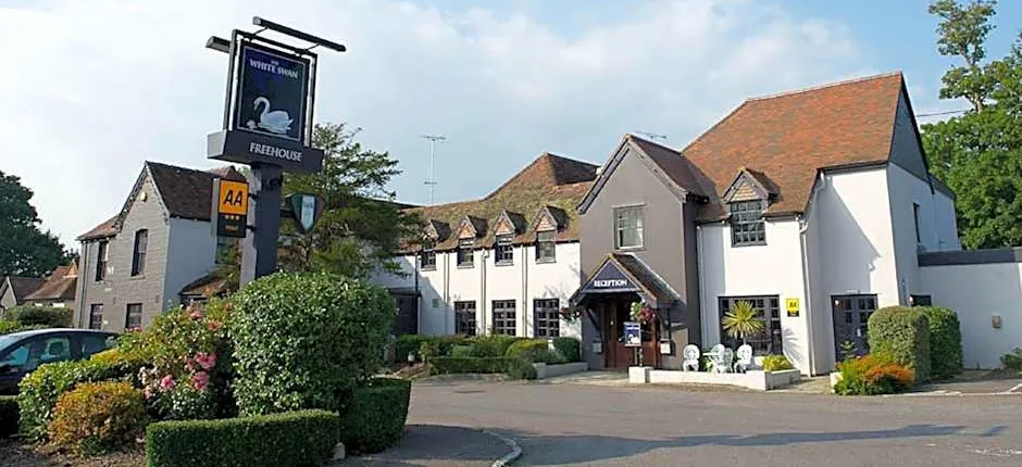 The White Swan