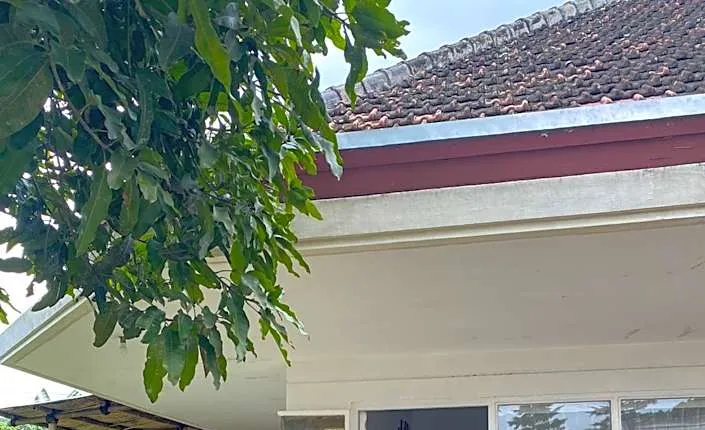 Hostel Wees een Kind