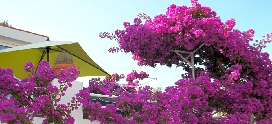Hotel Villa Cecilia
