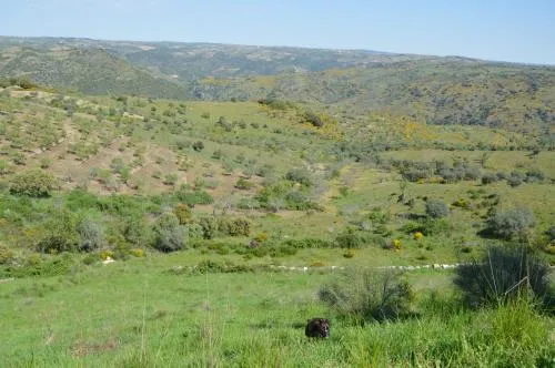 Casa Rural el Meson