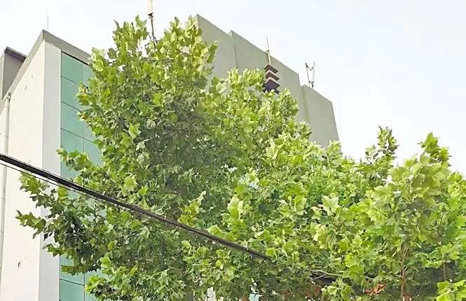 Hanting Hotel Dezhou Lingcheng District Tangcheng Road