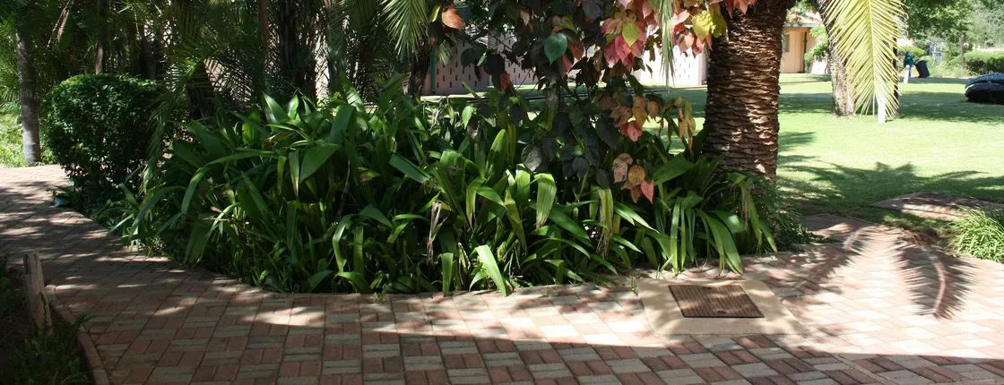 Cresta Bosele Hotel