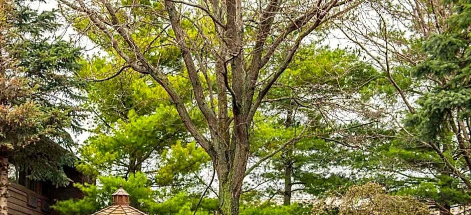 Quality Inn & Suites Goshen