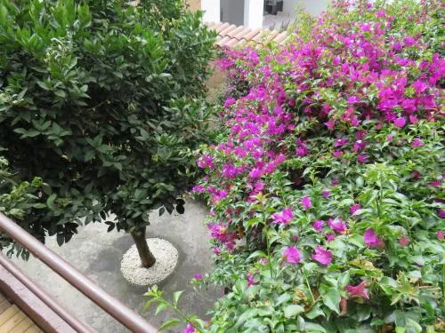 Casa LULY
