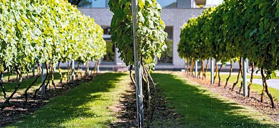 Abalona Hotel & Apartments