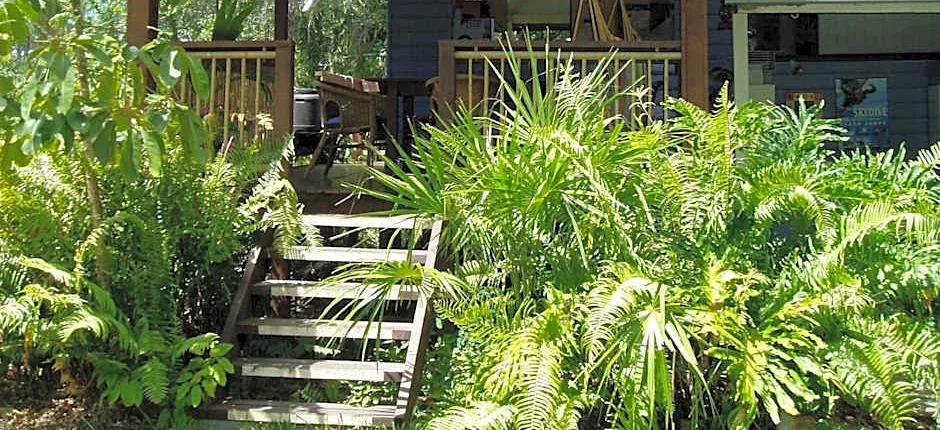 Mango tourist Hostel