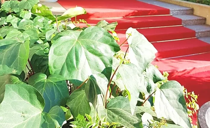 Venice Michelangelo Hotel