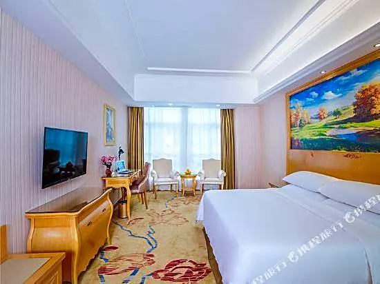 Vienna Hotel (Wuhan Wuhu Gaoche Subway Station)