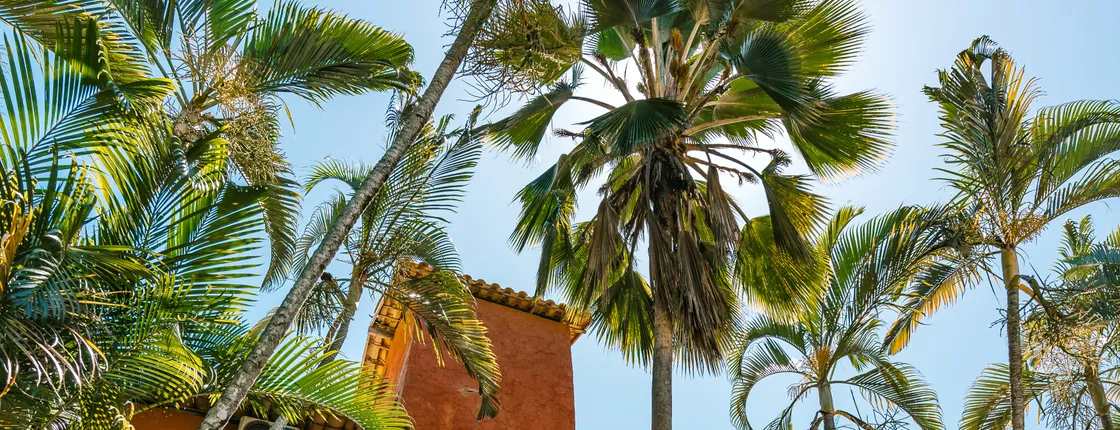 Pousada Casa Cactus
