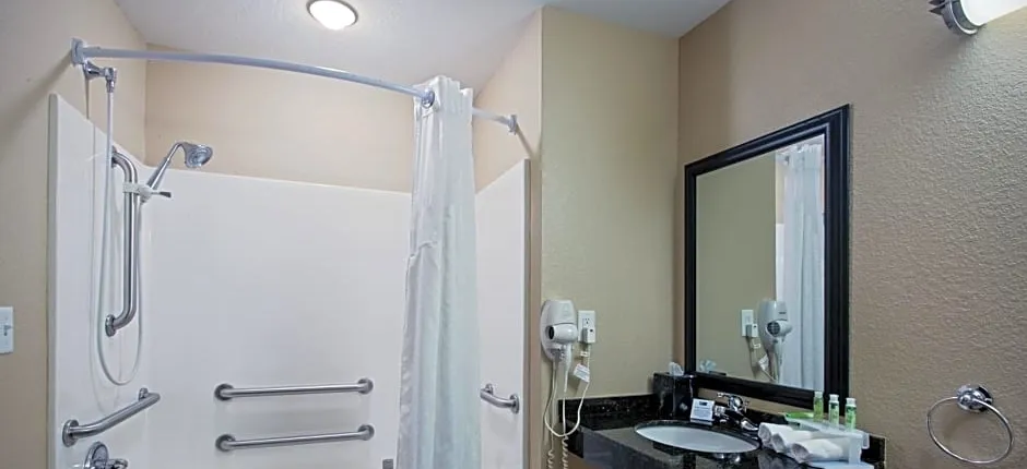 Holiday Inn Express & Suites - Green Bay East By IHG
