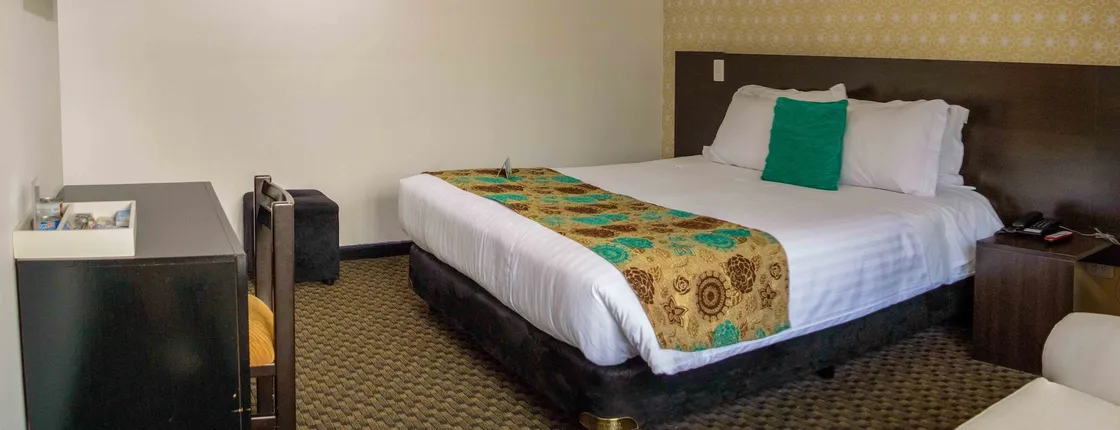 Hotel Castellana 95