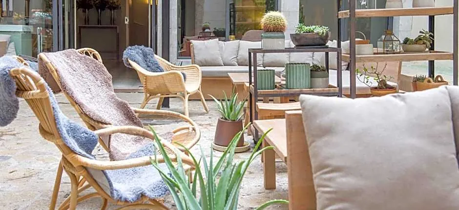 Petit Palace Hotel Tres