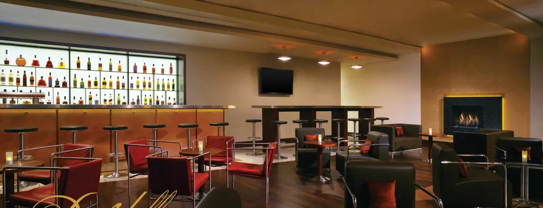 Sheraton Frankfurt Airport Hotel & Conference Center