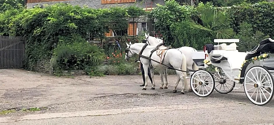 Al cervo tra i laghi