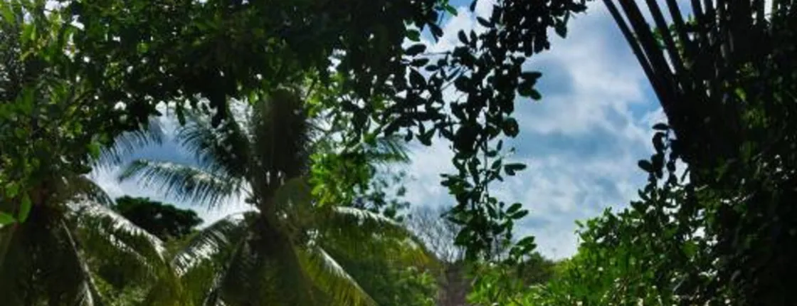 Pousada Xamã - Praia Da Pipa