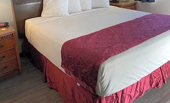 Extended Suites Tempa