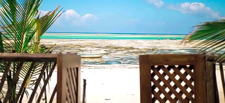 Hekaya Zanzibar