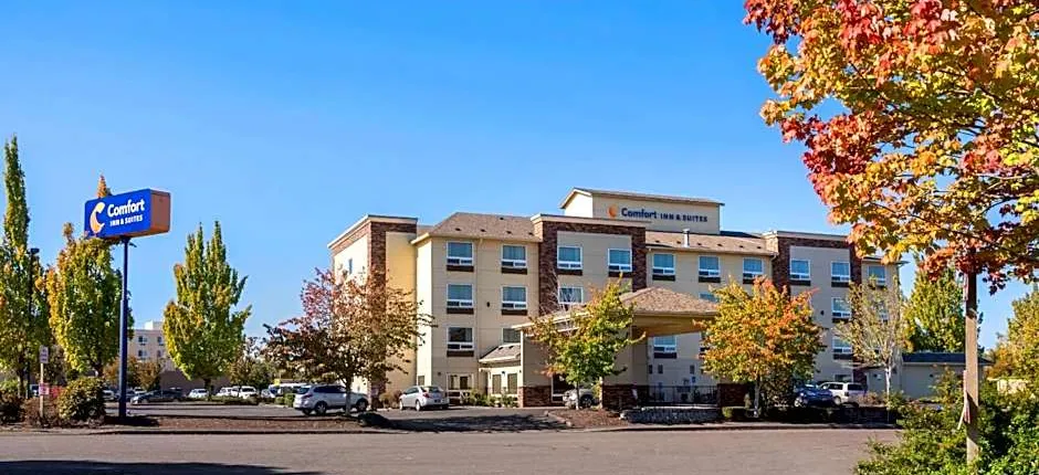 Comfort Inn & Suites Salem Northeast
