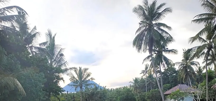 Jasri Dalem Surf Retreat