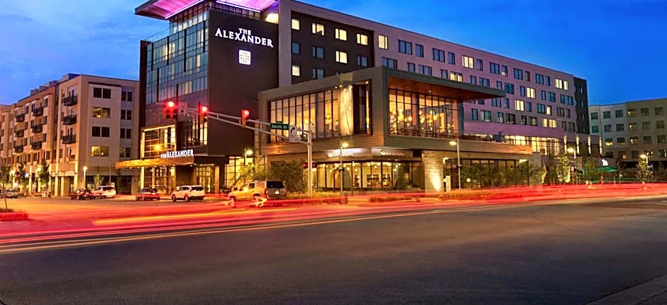 The Alexander