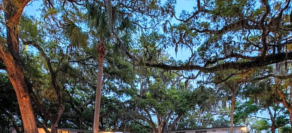 Queen's Court Inn