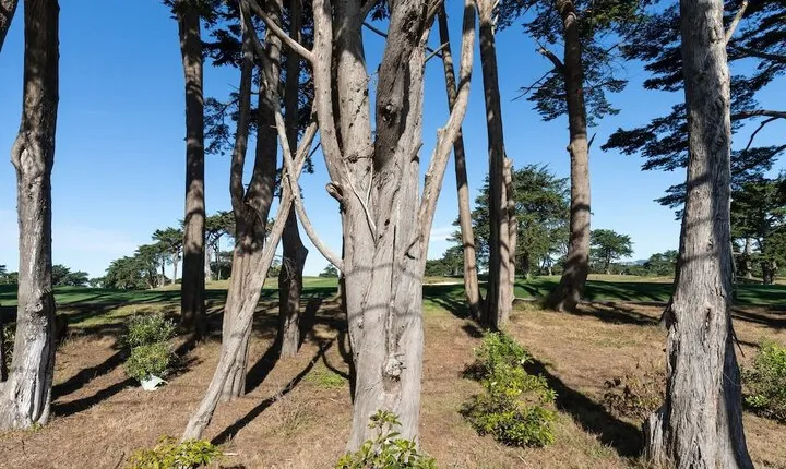 The Olympic: Mid century on the Golf Course 3 Bedroom Home by Redawning