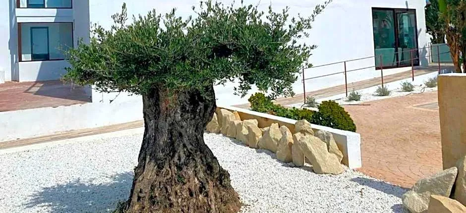 Soul Beach Hotel By Mc- Adults only