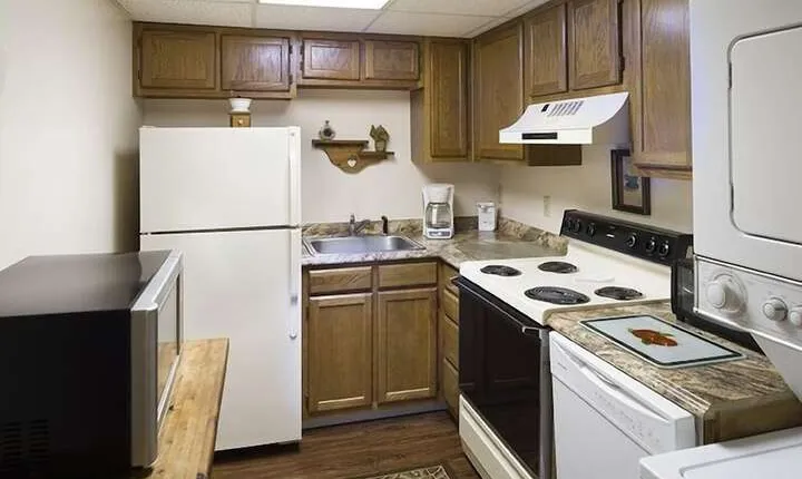 Little Pigeon River 508 2BD Condo with Fireplace&Jacuzzi Tub by RedAwning