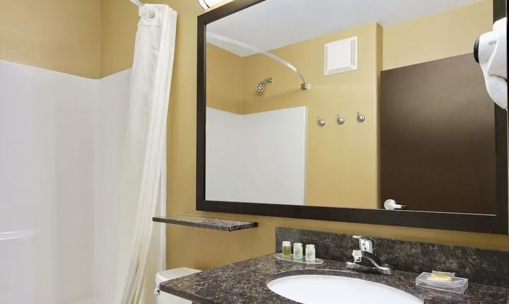 Microtel Inn & Suites by Wyndham Round Rock