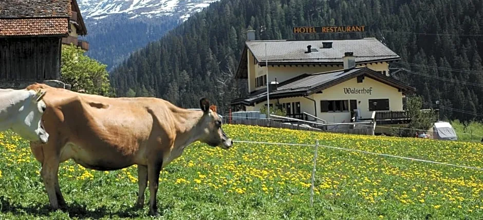 Hotel Restaurant Walserhof