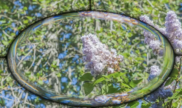 The Edenwild Boutique Inn