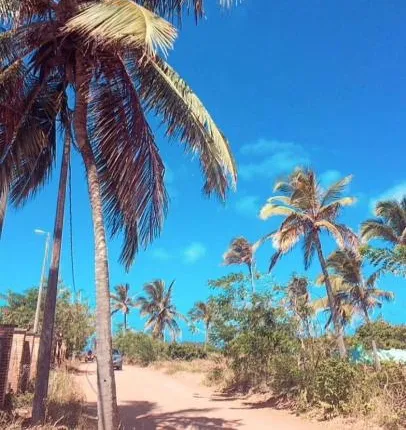 Pipa Paradise J1
