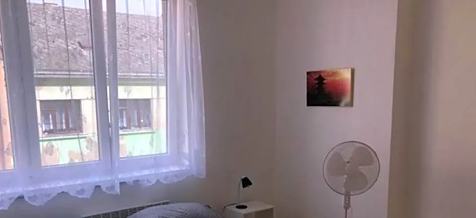 Skodova 4 Apartments