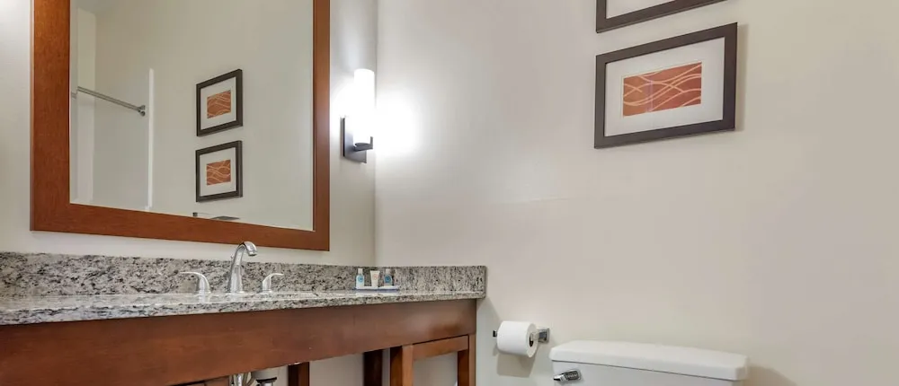 Comfort Inn Apalachin Binghamton W Route 17