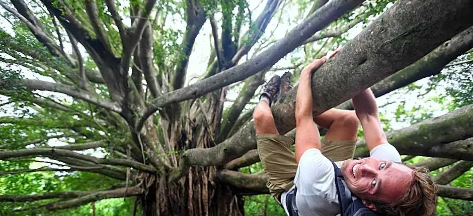 iCoconutGrove- Luxurious Vacation Rentals in Cocon