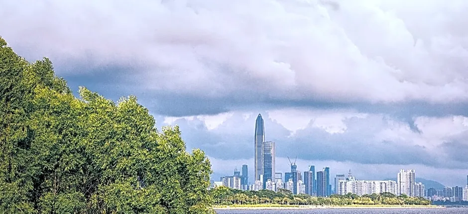 Thank You Inn Shenzhen Shijie Zhichuang