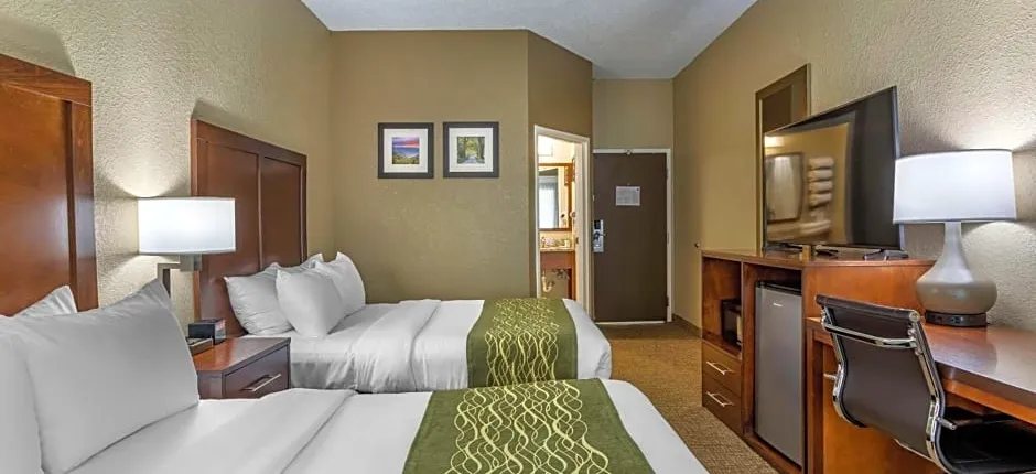 Comfort Inn South Kingsport