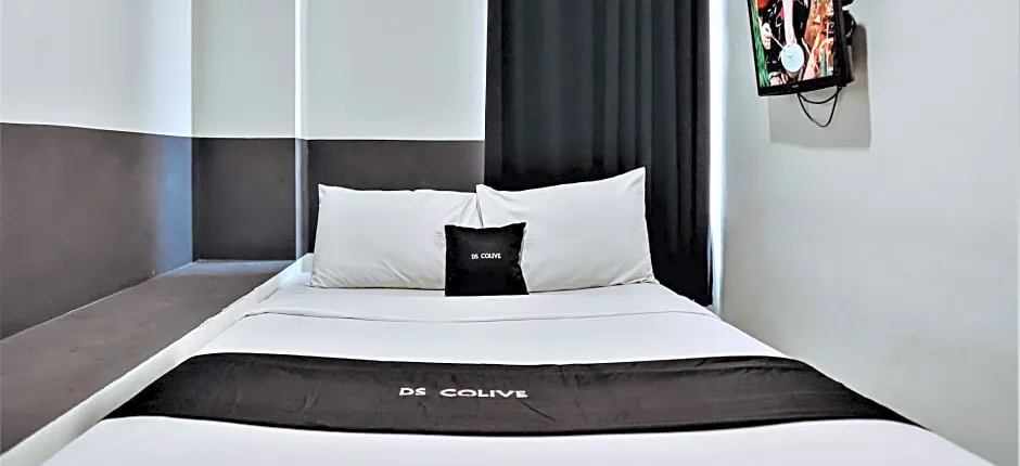 DS CoLive Peterongan