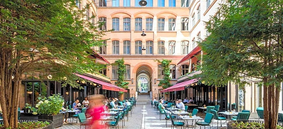 Tortue Hamburg