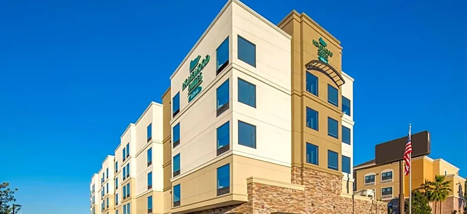 Homewood Suites By Hilton Belmont