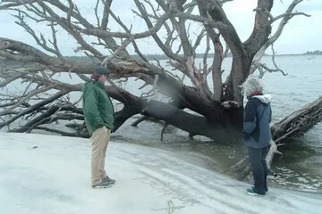 Camp Nina a Magnificent View