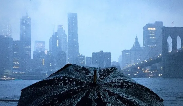 Hgu New York