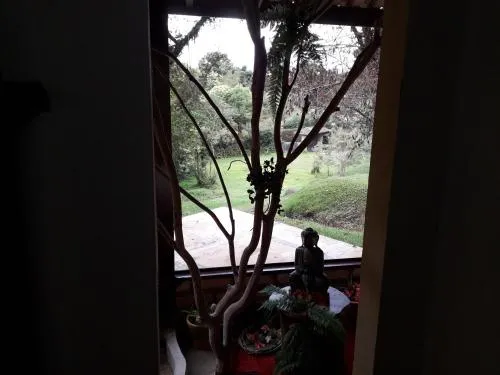 Campos do Jordão Home