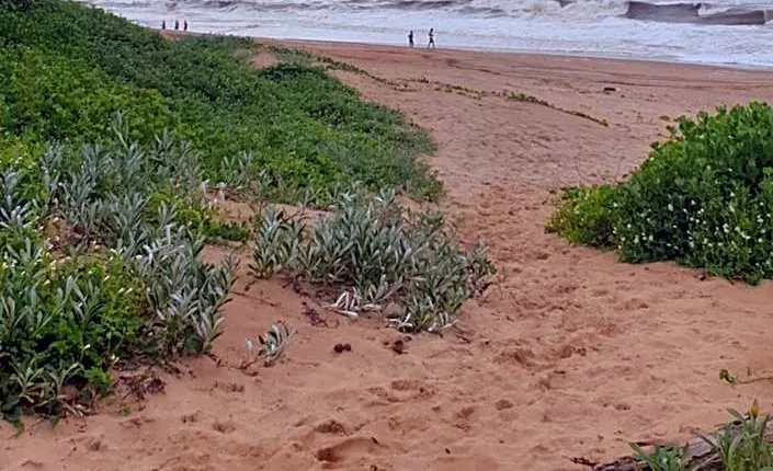 Deep Blue Guest House